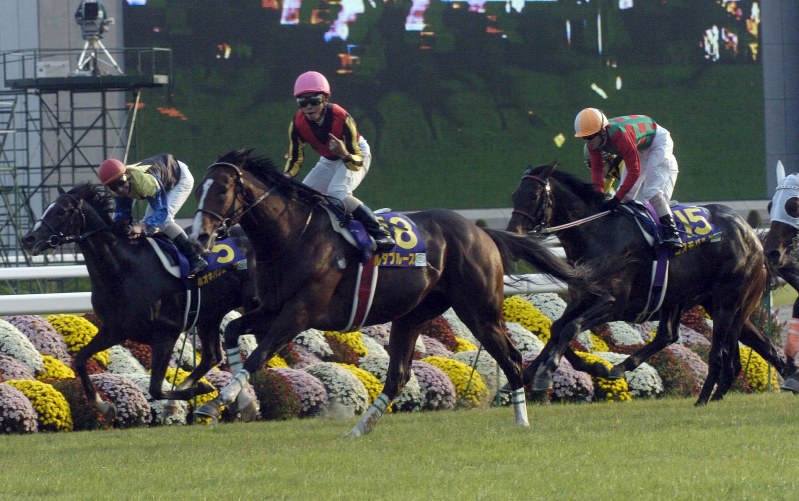 競馬：菊花賞を制した名馬たち [写真特集17/14] | 毎日新聞