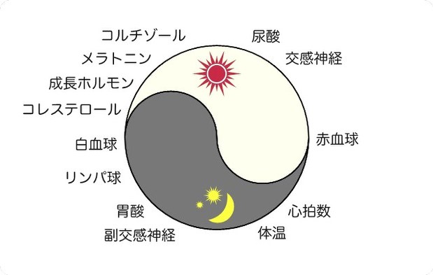 病状の昼夜差に合わせて投薬 時間治療 とは 生命の時計から考える健康生活 柴田重信 田原優 毎日新聞 医療プレミア
