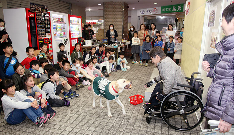 デモンストレーションや講演を通じ、介助犬の仕事や役割を各地で伝え続ける木村佳友さん(右)とデイジー(中央)=兵庫県宝塚市内の商業施設で、高尾具成撮影
