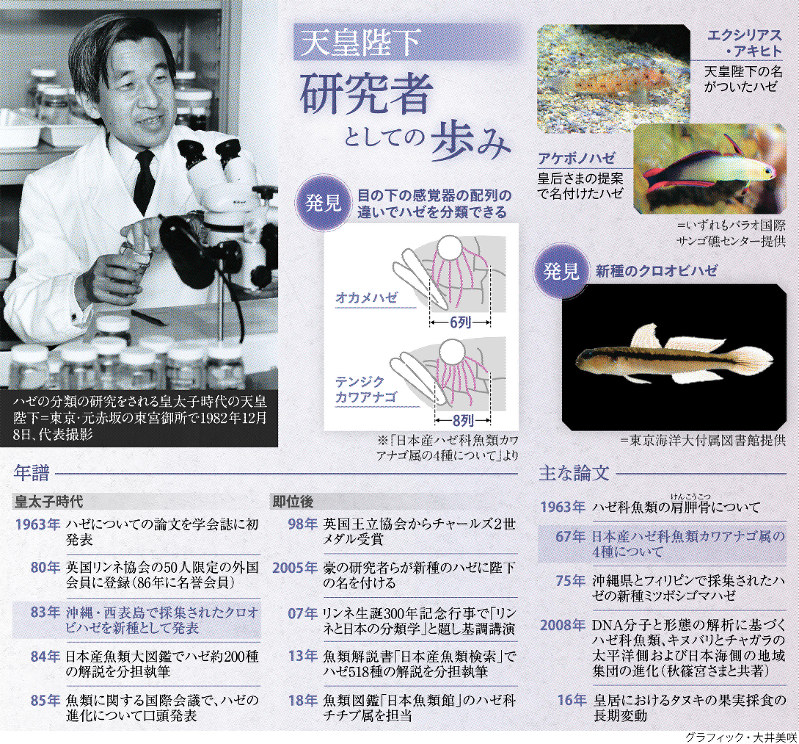 研究者としての歩み