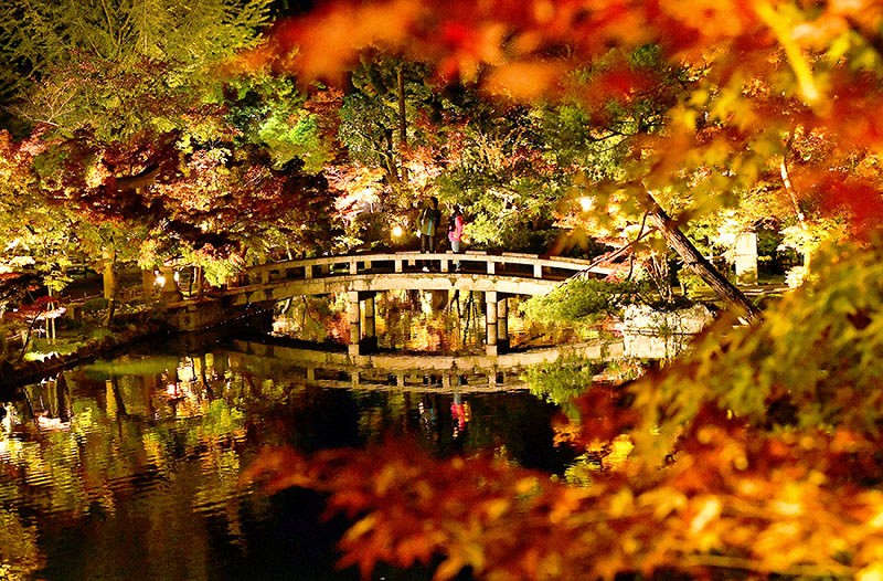 試験点灯でライトアップされた永観堂禅林寺の紅葉=京都市左京区で2018年11月1日午後、川平愛撮影