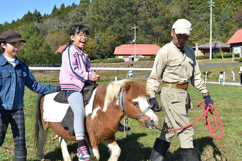 綾部ふれあい牧場祭り 馬と自然を満喫 京都 毎日新聞