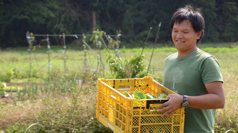 収穫作業をする繁昌農園代表の繁昌知洋さん=小高朋子撮影