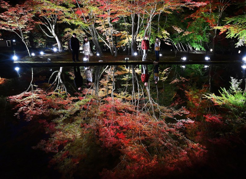 ライトアップされ水面に映る曽木公園の紅葉=岐阜県土岐市で2018年11月8日、大西岳彦撮影