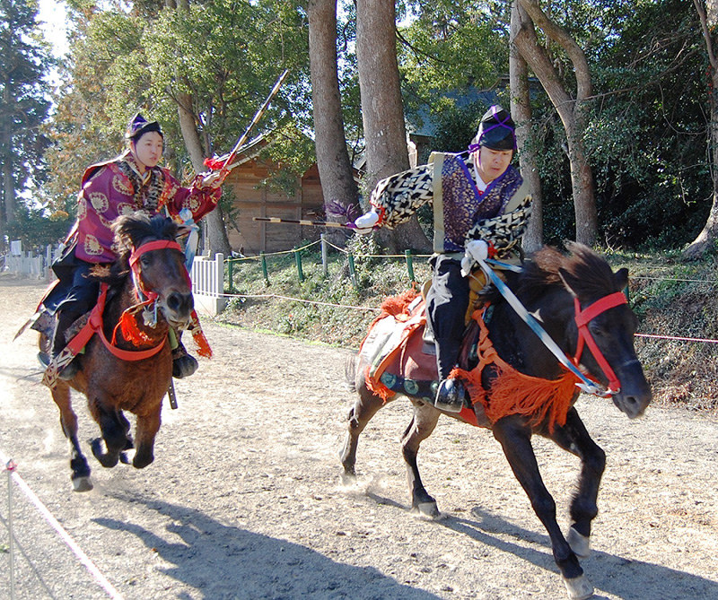 馬上武芸奉納まつり 在来馬 疾走 近江八幡 賀茂神社 滋賀 毎日新聞