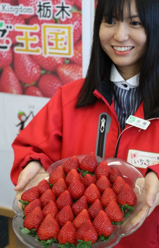栃木県が開発したイチゴの新品種=宇都宮市で2018年11月14日、野田樹撮影