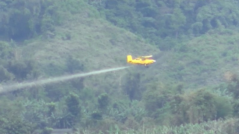 「甘いバナナの苦い現実」の一場面。小型飛行機が農薬を空中散布している=アジア太平洋資料センター提供