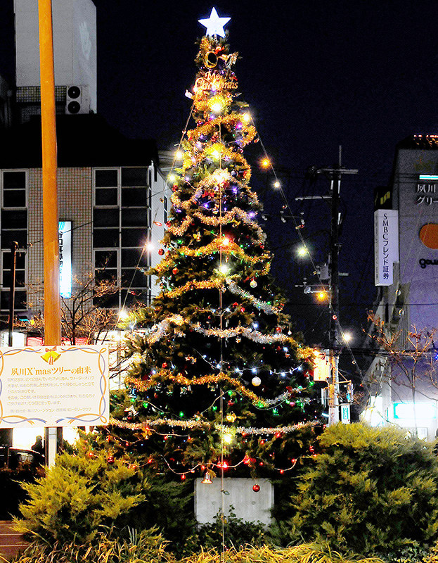 冬の風物詩になっている阪急夙川駅前のクリスマスツリー=夙川自治会提供