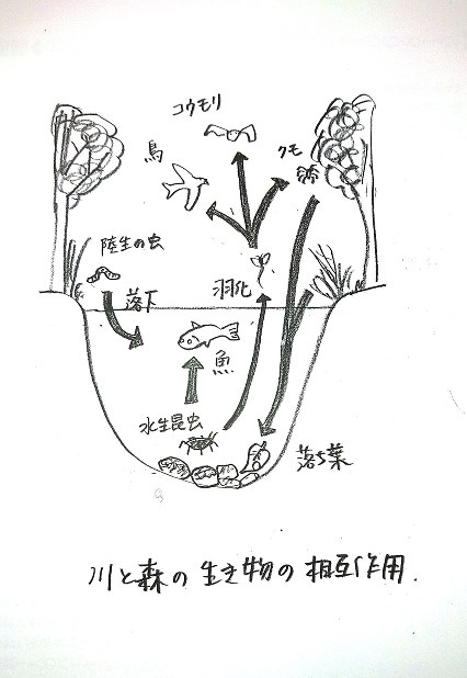 中野繁さん：日本人初、米魚類野生生物局「ヒーローズ」選出