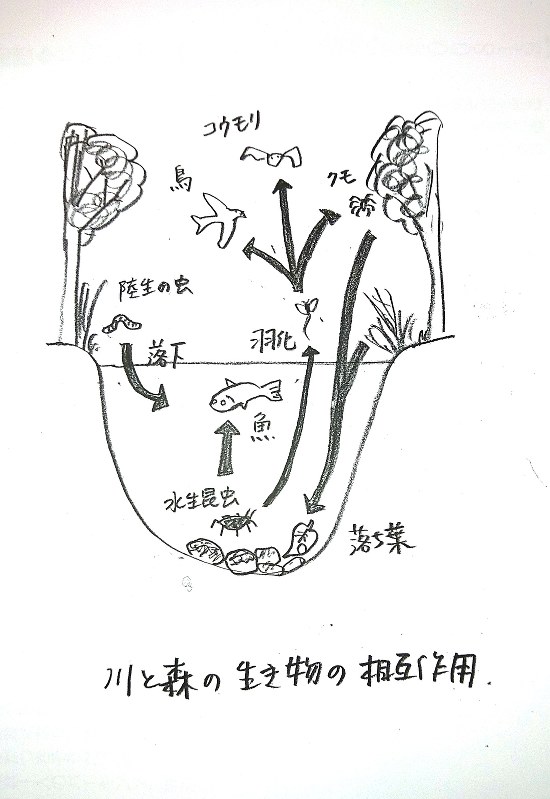 中野繁さん：日本人初、米魚類野生生物局「ヒーローズ」選出