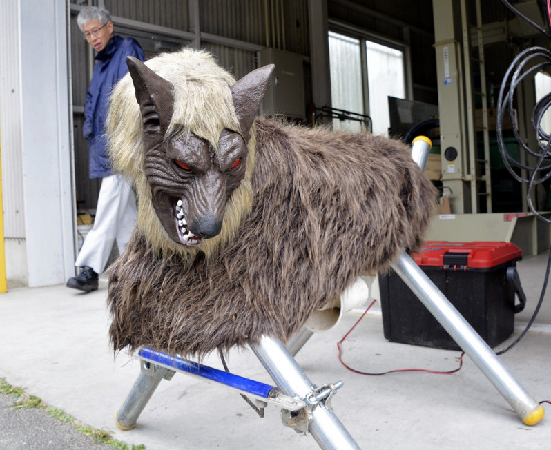 毎小ニュース：社会 「オオカミ」でイノシシ退治 | 毎日新聞