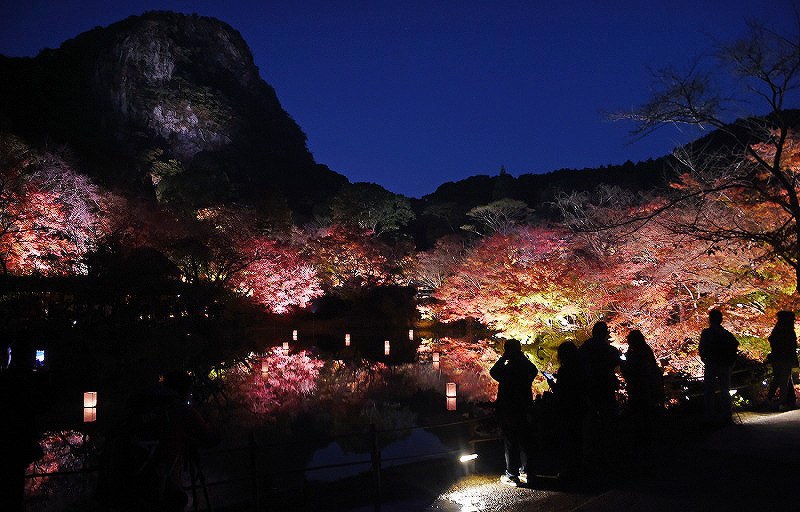 佐賀 夜の庭園 浮かぶ紅葉 御船山楽園ライトアップ 写真特集1 5 毎日新聞