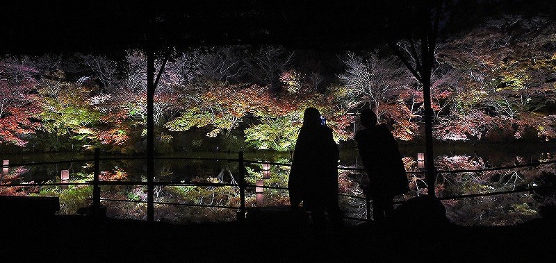 佐賀 夜の庭園 浮かぶ紅葉 御船山楽園ライトアップ 写真特集2 5 毎日新聞