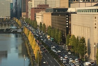 日比谷通りのイチョウ並木を近くのビルから見下ろすと、西側(右)は黄色く色づいているのに、ビルに接した東側は緑色のままだった=2018年11月25日、小国綾子撮影