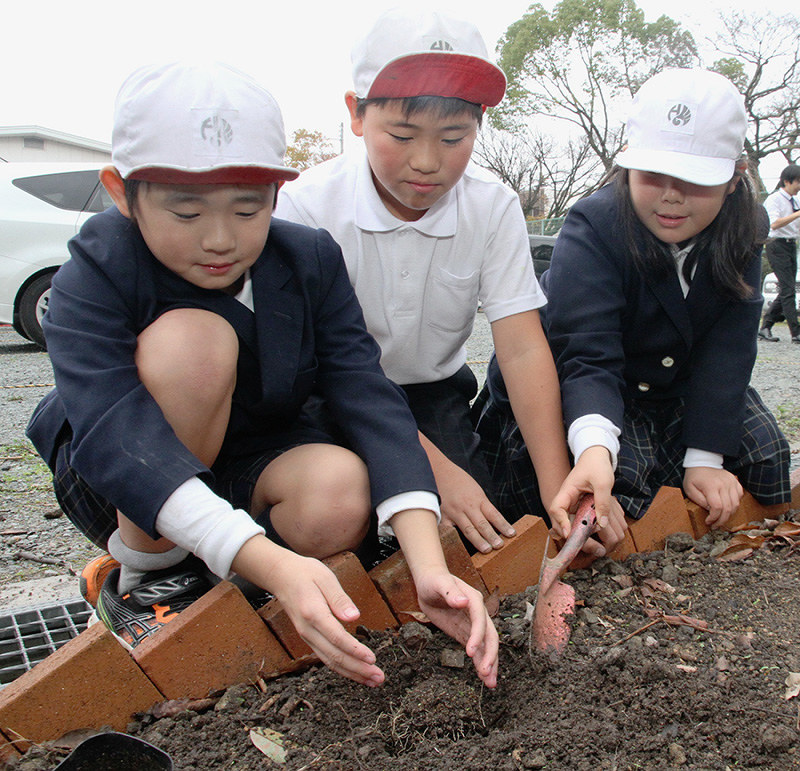 生態園をつくろう チョウの庭 校内に整備 対象校選出の白鷺小中 兵庫 毎日新聞
