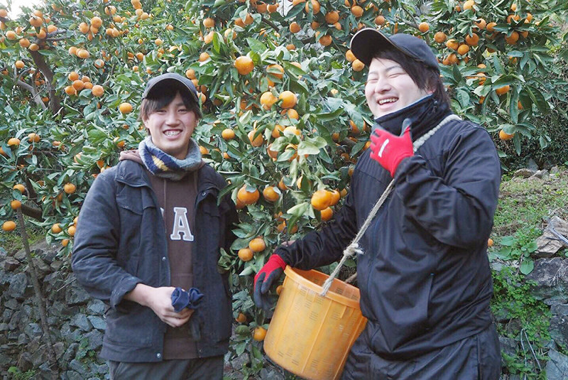 愛媛のミカン農家支援に取り組む樫原正都さん(右)と井上信太郎さん=和歌山県湯浅町で、樫原さん提供