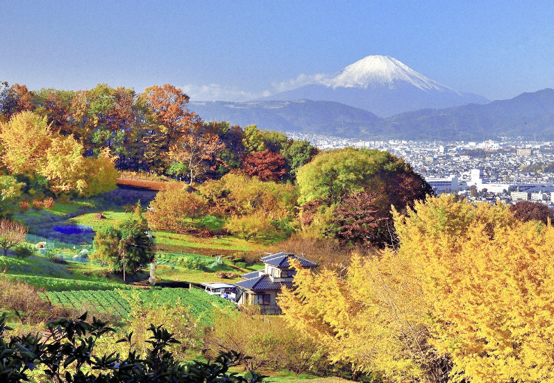 富士山 晩秋の景色 神奈川・秦野から望む | 毎日新聞