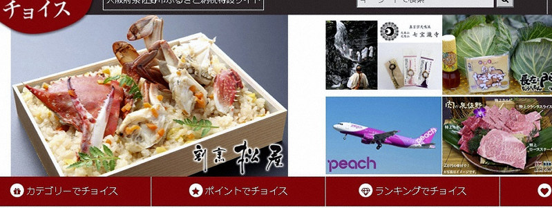 ふるさと納税特設サイトより