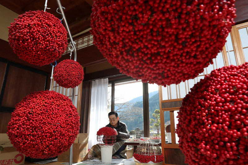 難を転ずる」祈り「南天玉」作りが最盛期 郡上・八幡 | 毎日新聞