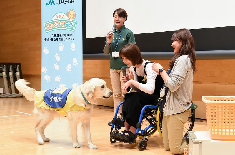 介助犬の実演をするPR犬の「ハッシュ」=いずれも三澤威紀撮影