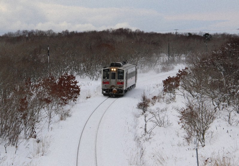 雪原を走るJR花咲線の1両編成の列車=北海道根室市郊外で2018年12月14日午前10時51分、本間浩昭撮影