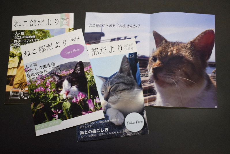 これまでに発行したフリーペーパー「ねこ部だより」=2018年12月13日午後5時10分、末永麻裕撮影
