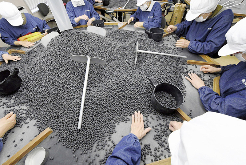 職人の手で選別される黒豆=兵庫県篠山市で2018年12月9日、山田尚弘撮影