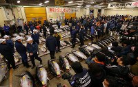 築地市場の生鮮マグロ卸売場で、移転前最後の初競りに臨む市場関係者ら＝東京都中央区で２０１８年１月５日午前４時４０分、小川昌宏撮影