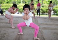 腰を落とし、すり足で土俵を移動する木原福さん＝大阪府枚方市で２０１８年４月２２日、小出洋平撮影