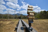 総重量７０キロを超える荷物を背負って尾瀬ケ原の龍宮小屋（奥）に向かう歩荷。奥の山は燧ケ岳＝群馬県片品村で２０１８年５月２２日、手塚耕一郎撮影