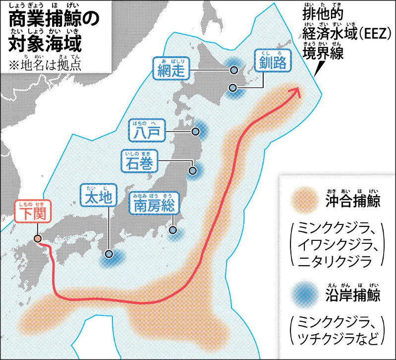 13229 かなり希少捕鯨使用済切手シート透かしなし 昭和すかしなし】 捕鯨（3円） | 通常切手（第1次昭和～現在）,昭和