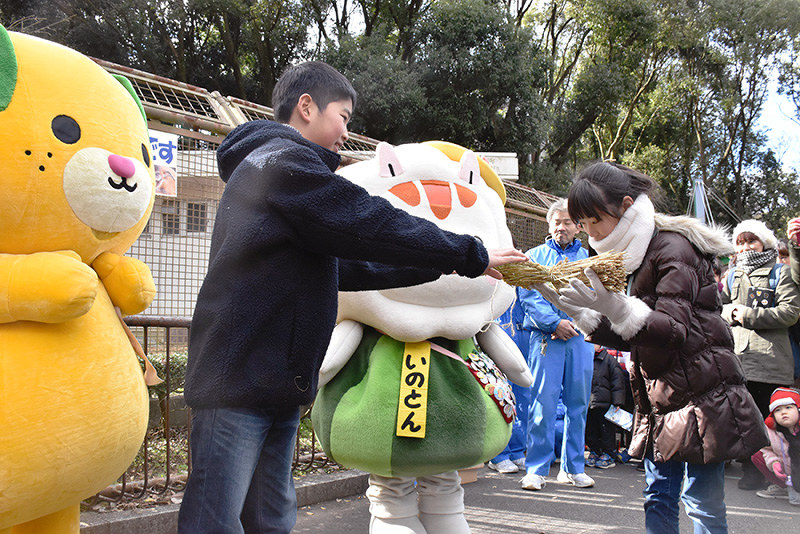 みきゃんやいのとんが立ち会い、神谷桜祐さんから逸見玲那さんへしめ縄が引き継がれた=愛媛県砥部町上原町の県立とべ動物園で、遠藤龍撮影