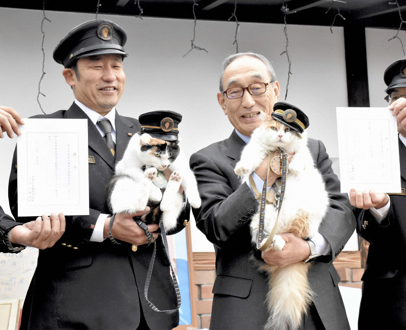 辞令を交付されたニタマ(右)とよんたま=和歌山県紀の川市貴志川町神戸の和歌山電鉄・貴志駅で2019年1月5日、砂押健太撮影
