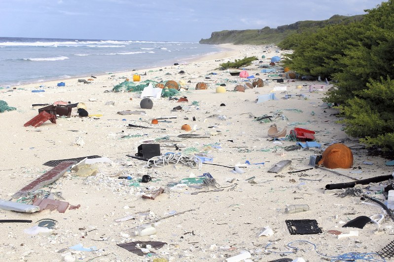 世界で最も隔絶された地にある英領ヘンダーソン島の砂浜は大小さまざまなプラスチックごみで覆われていた=2015年(ジェニファー・レイバースさん提供)