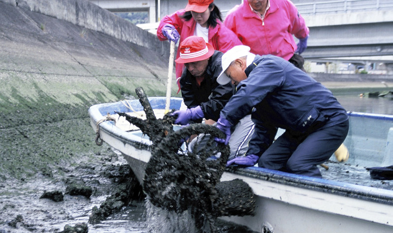 毎日地球未来賞 徳島のｎｐｏに きれいな川 心も育つ 毎日新聞