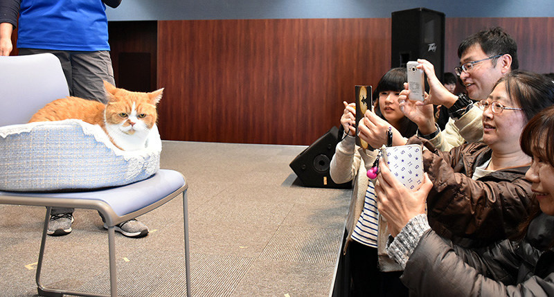 ねこねこフェスティバル 猫好きニャ たまらない 雑貨販売 メーク体験にぎわう ボートレース鳴門 徳島 毎日新聞