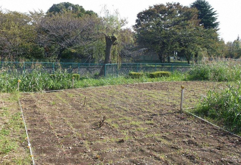 敷き詰められていた再生砕石の中からアスベストが見つかった公園予定地=さいたま市提供