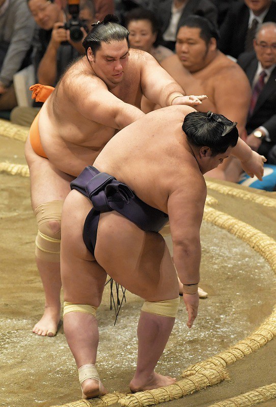 相撲/武道 hasunohana 🌸 Haru Basho 2025. Day 6. Chiyoshoma vs Kotozakura #相撲
