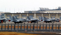 駐機中の空母艦載機＝山口県岩国市の米軍岩国基地で2019年1月12日、大山典男撮影