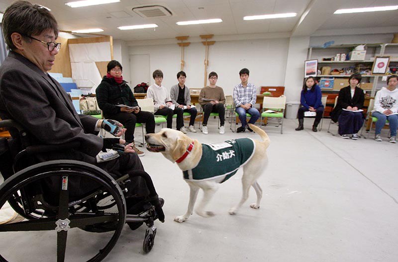 講義後のデモンストレーションで、カードを拾い、木村佳友さんに渡す介助犬デイジー=大阪市北区の大阪保健医療大で、高尾具成撮影
