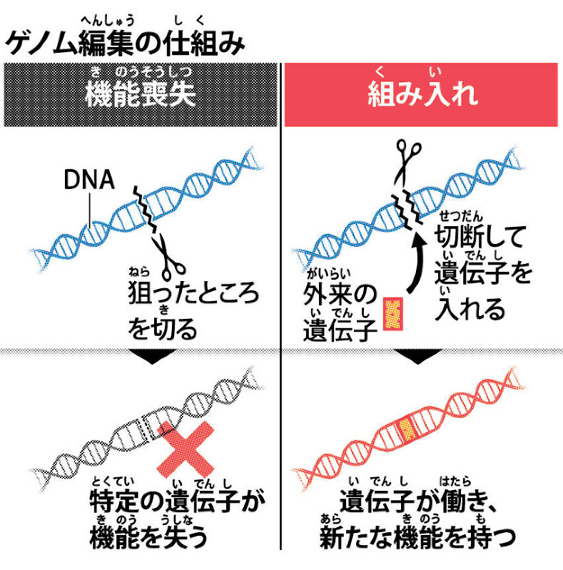毎日新聞