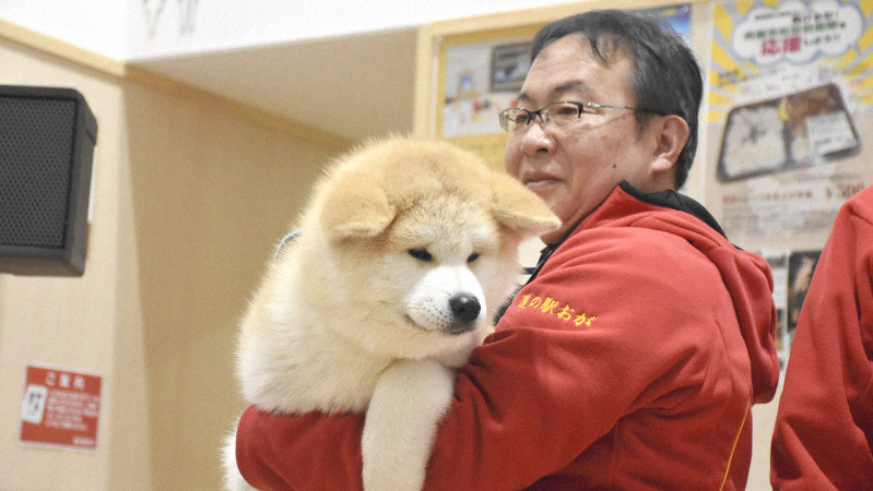 お披露目された「つばき」=秋田県男鹿市のオガーレで2019年1月23日、中村聡也撮影
