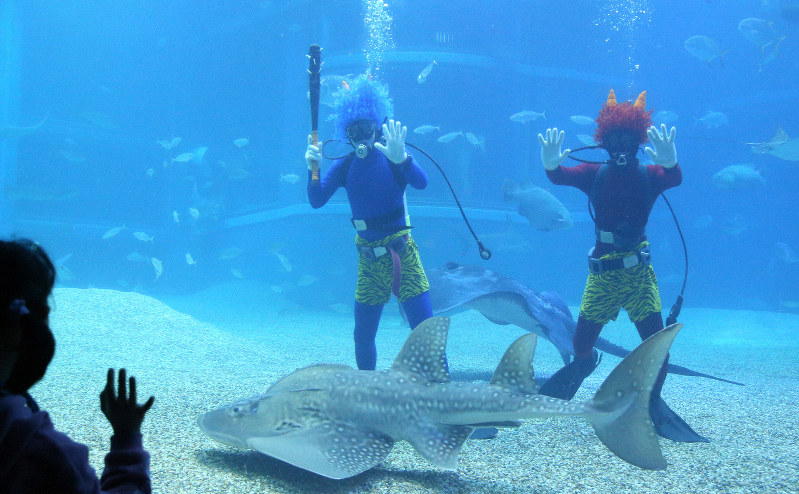 海遊館の大水槽に登場した「オニさんダイバー」=大阪市港区で2019年1月25日午前10時59分、梅田麻衣子撮影