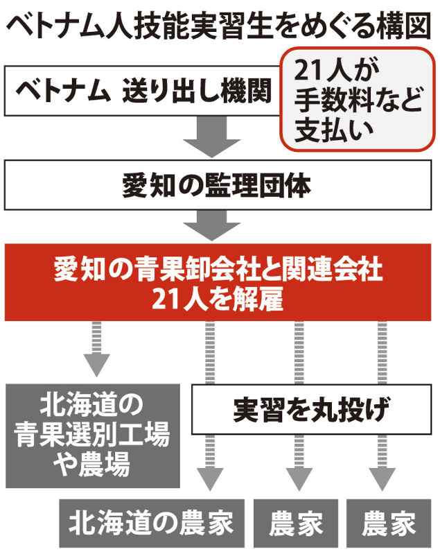 ベトナム人技能実習生をめぐる構図