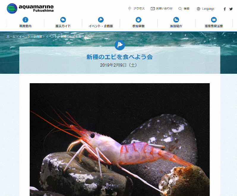 「新種のエビを食べよう会」のお知らせ=アクアマリンふくしまのサイトから