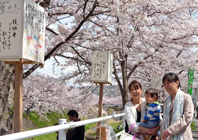 2016年の桜まつりの様子=奈良市で、芝村侑美撮影