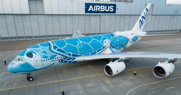 JALとANA、常夏の楽園巡り熱い戦い ハワイ路線に注力 | 毎日新聞