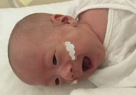 268グラム 世界で一番小さい男の赤ちゃん 退院 慶応大発表 毎日新聞