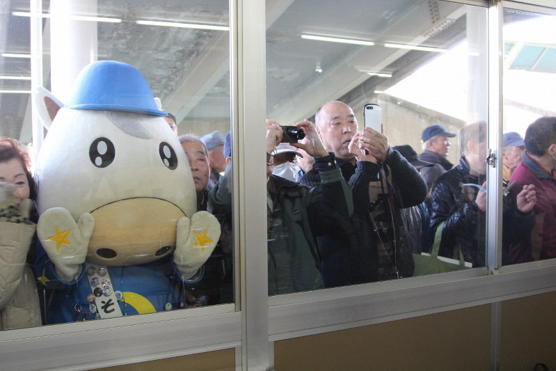 窓越しに力士の稽古を見守る競馬ファンら。園田競馬場のマスコットキャラクター「そのたん」も見つめる=兵庫県尼崎市田能2の園田競馬場で2019年2月26日午前10時6分、生野由佳撮影