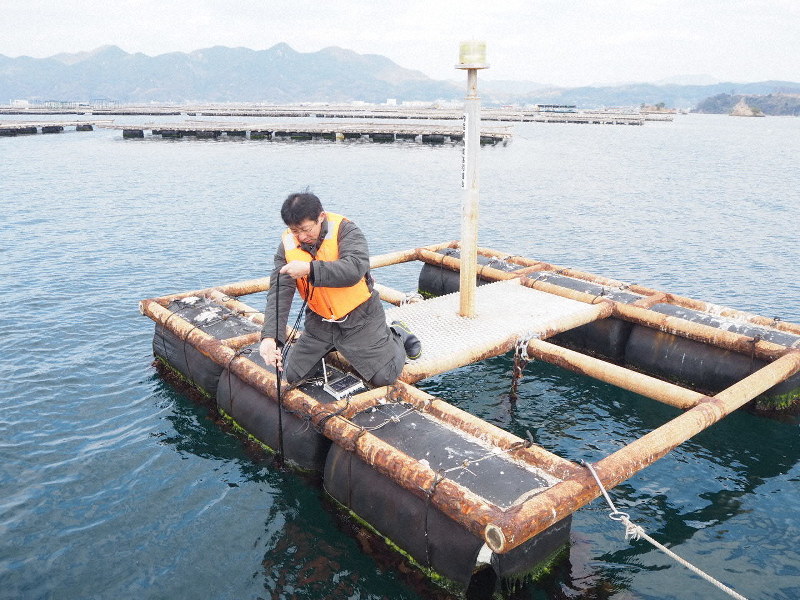 海中の水温を測るセンサーの状態をいかだの上で確認するシャープの社員=広島県江田島市で2019年2月21日午後1時ごろ、加藤美穂子撮影